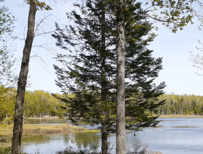 Découvrez pourquoi Portneuf est le paradis des terrains à vendre
